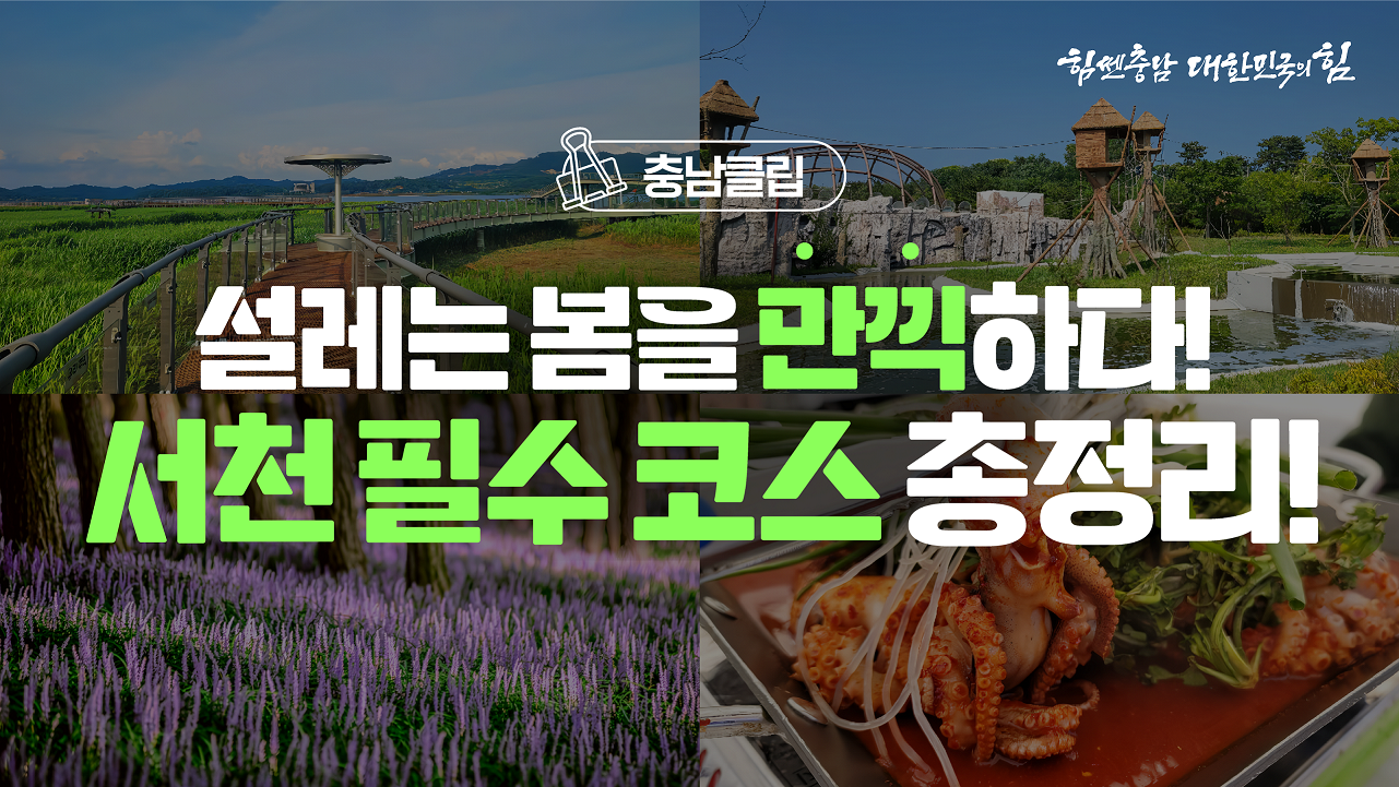 서천 필수 여행 코스를 소개하는 썸네일 이미지로, 다양한 자연경관과 맛있는 음식이 포함되어 있다.