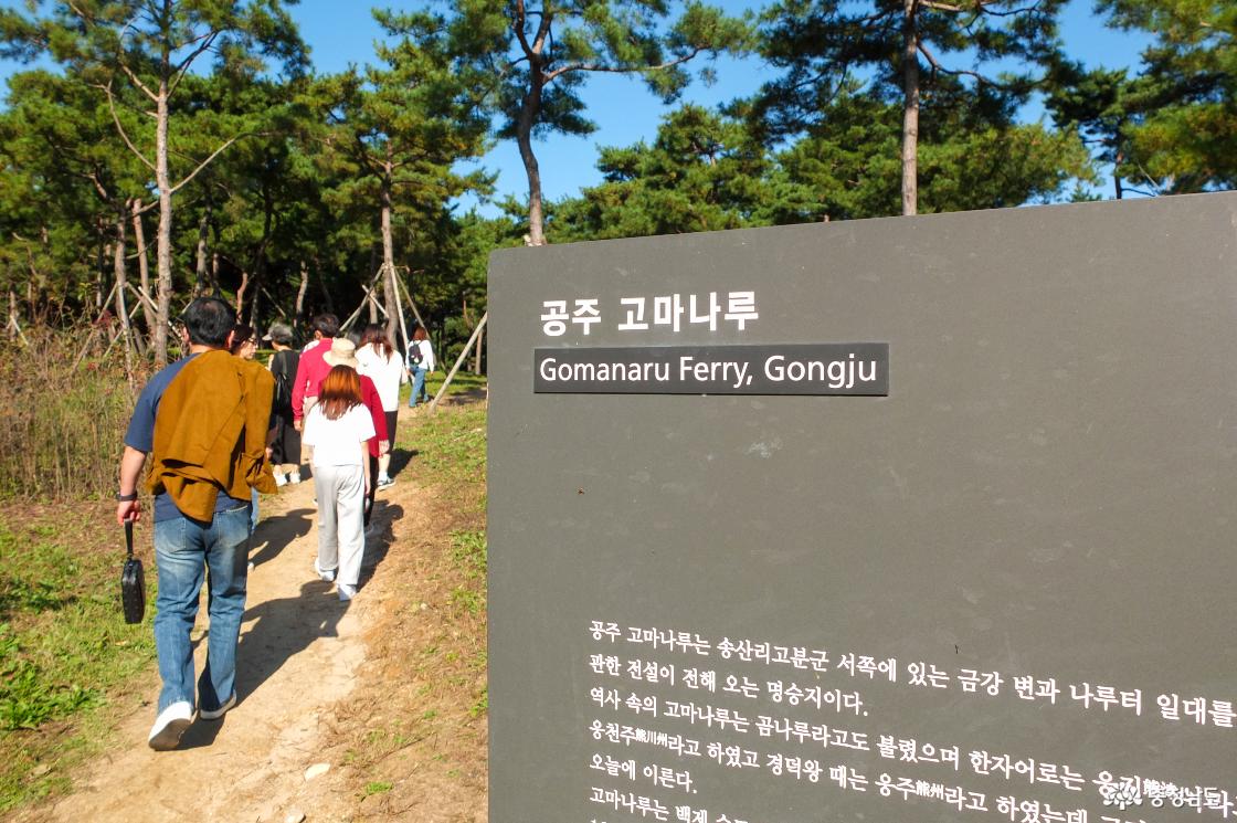 공주고마나루의 모습