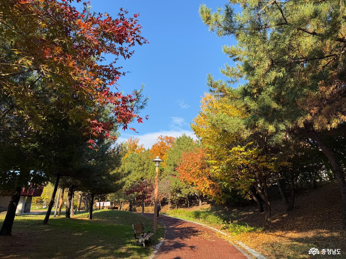 쌍용공원 산책길
