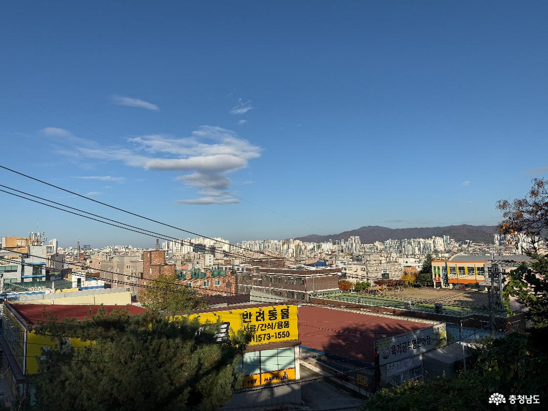 전망대에서 내려다 본 천안 풍경
