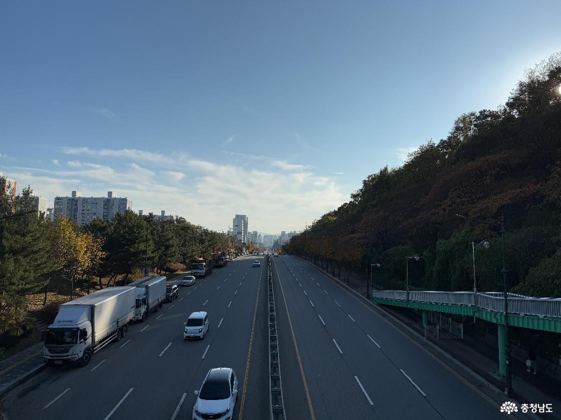 육교에서 내려다본 도로 풍경