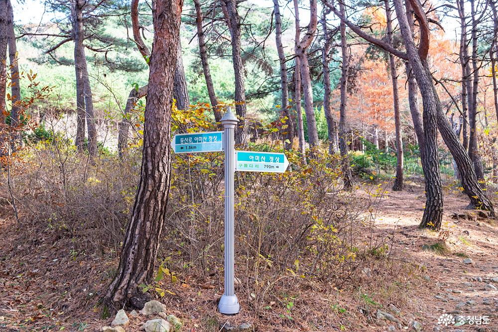아미산
