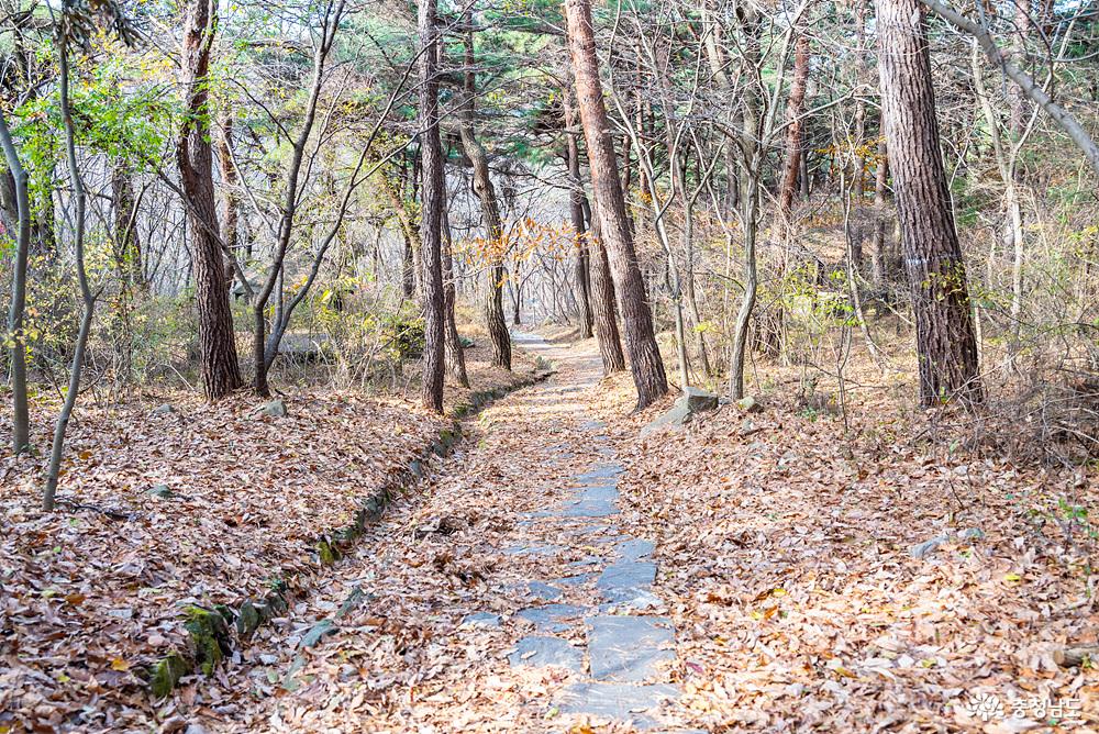 아미산