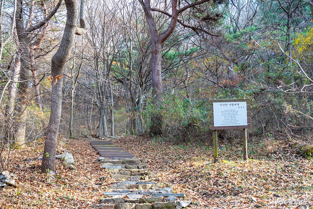 아미산