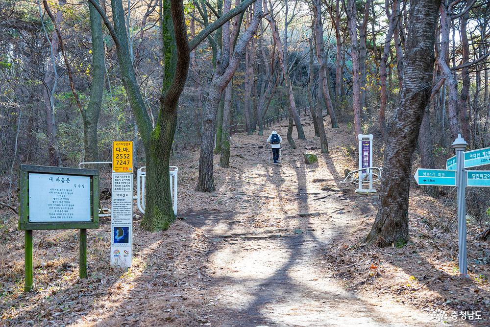 아미산