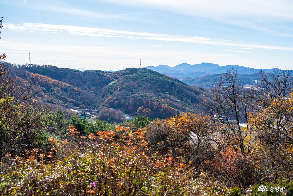 아미산