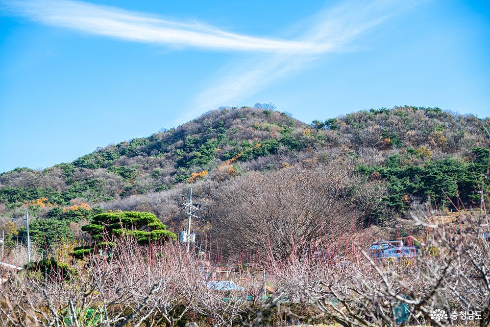 아미산