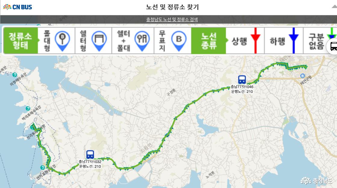 충남 교통비 지원 누리집에서 태안군 210번 버스 실시간 위치 확인하는 장면