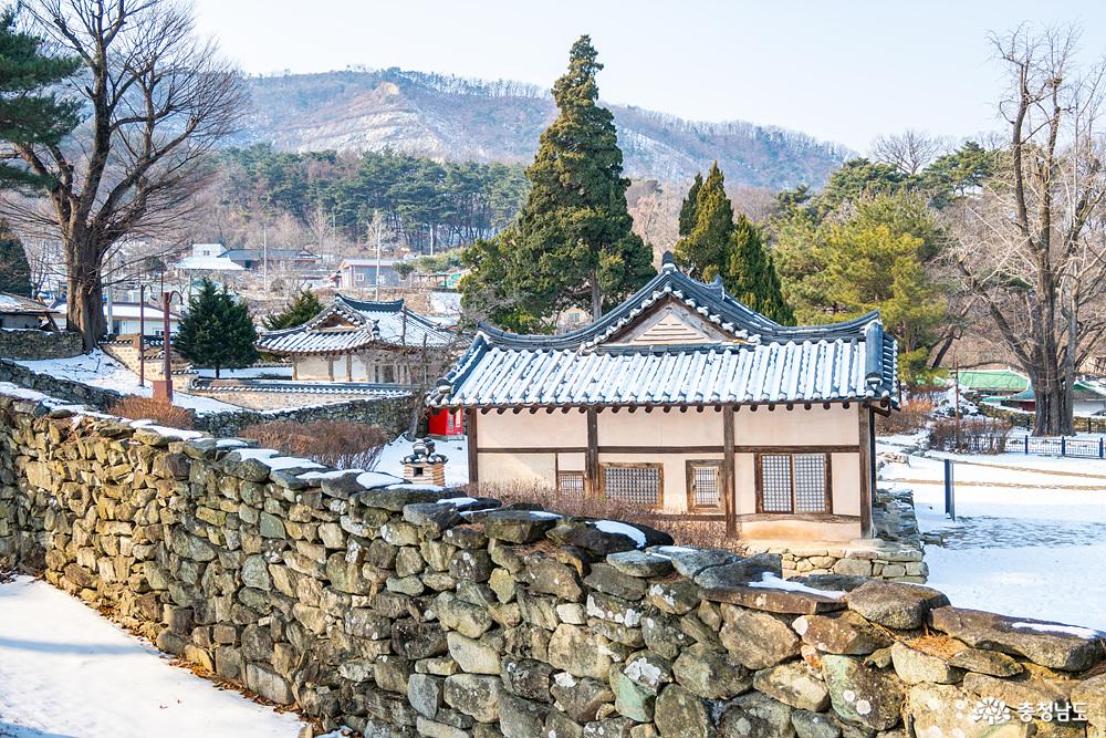 아산맹씨행단