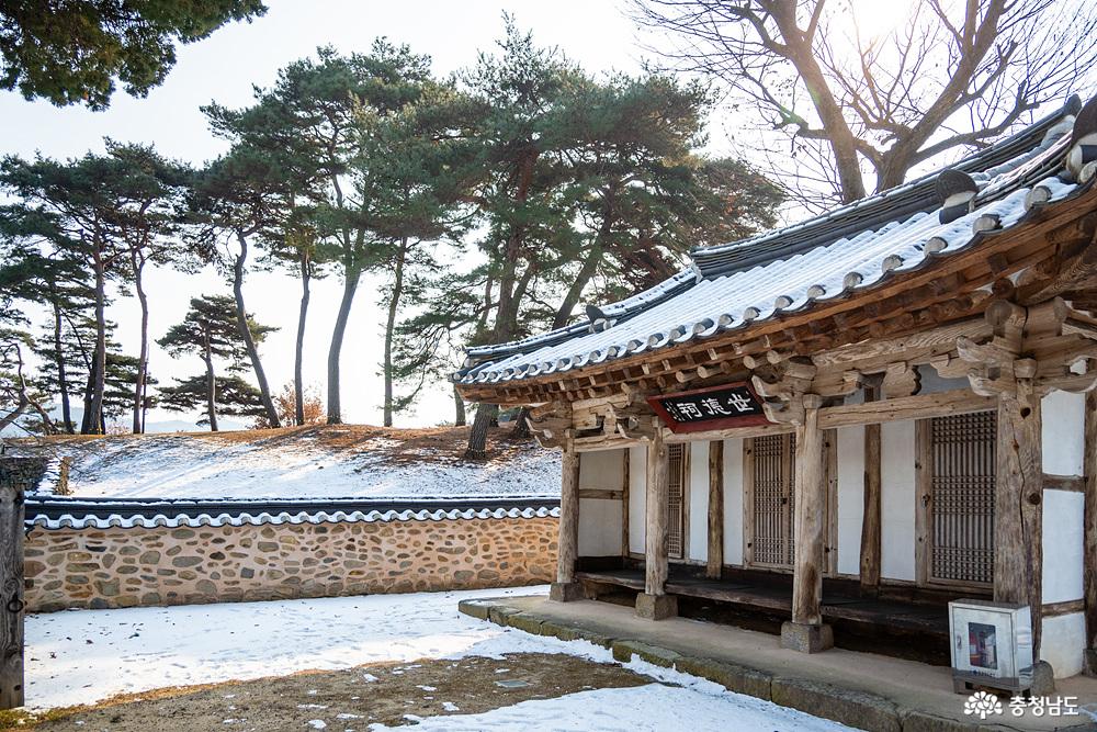 아산맹씨행단
