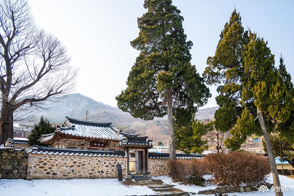 아산맹씨행단