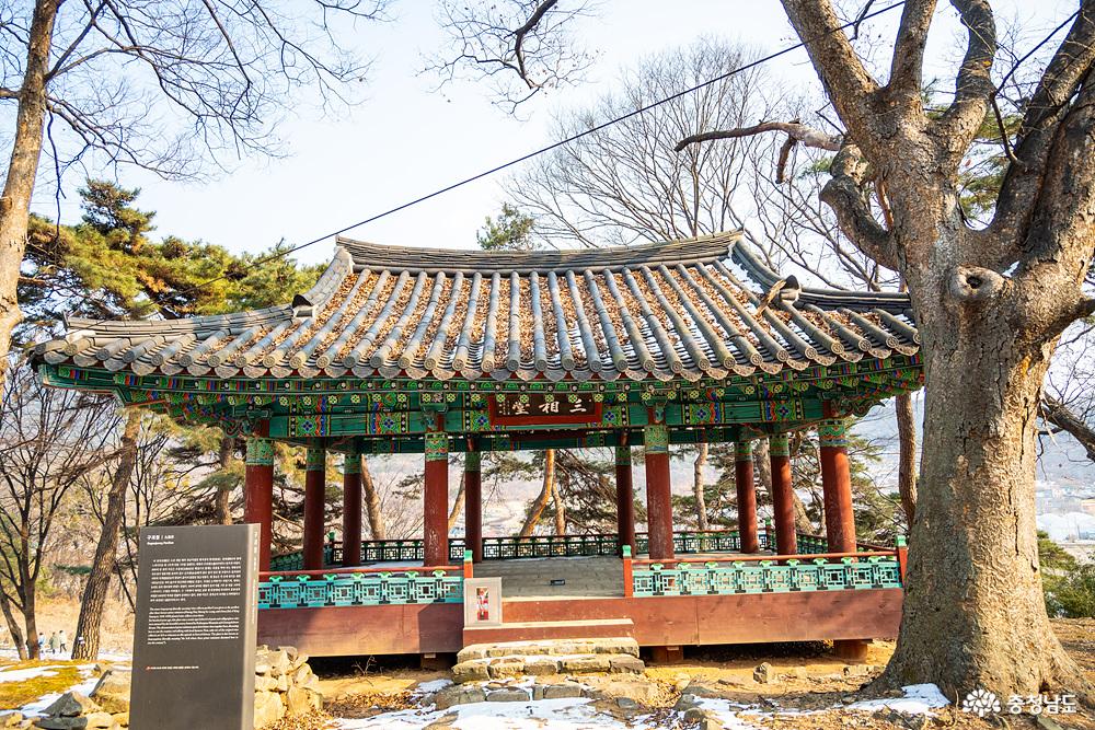 아산맹씨행단