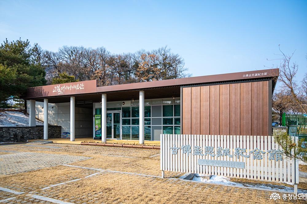 아산맹씨행단