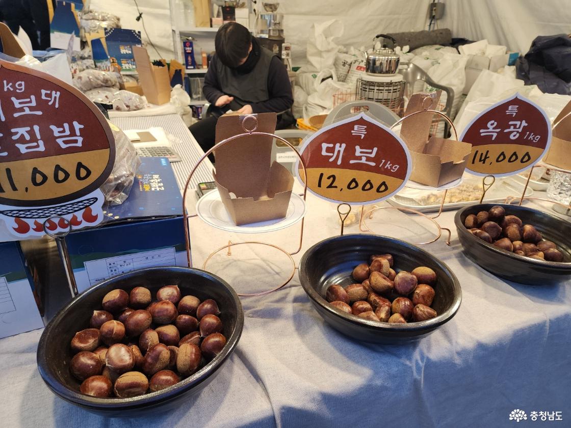 밤 종류