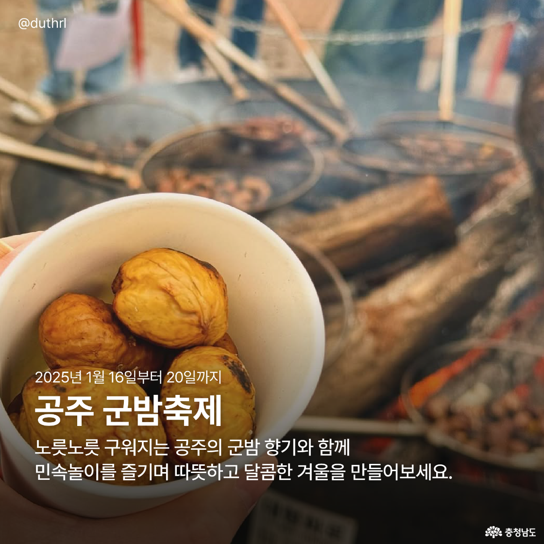 공주 군밤축제에서 노릇하게 구운 군밤이 담긴 종이컵과 따뜻한 불길의 축제 현장을 배경으로 한 사진으로, 