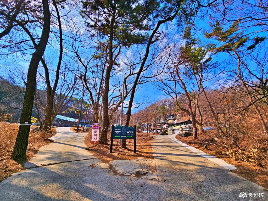 사찰로 가는 갈림길