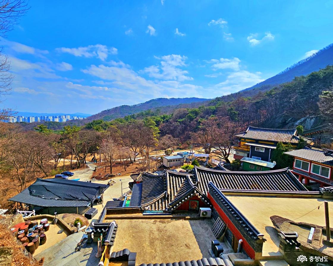 나한전