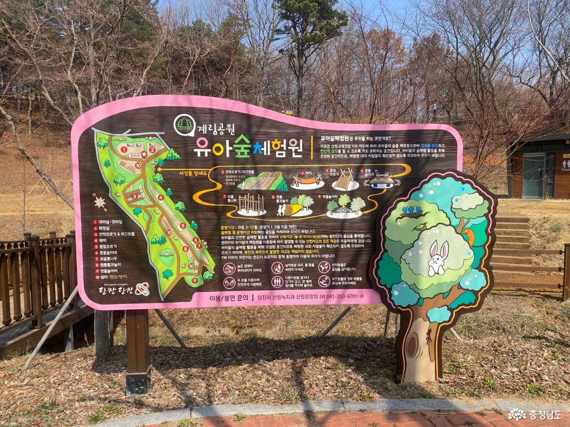 유아숲체험원_유아들이 숲을 체험할 수 있도록 지도 교육하는 공간, 언덕오르기, 해먹, 종합오르기, 외줄 통나무, 원통통과놀이, 밧줄놀이터
