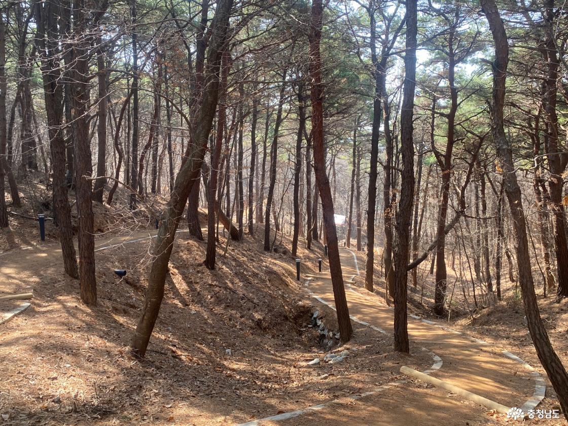 맨발 산책로