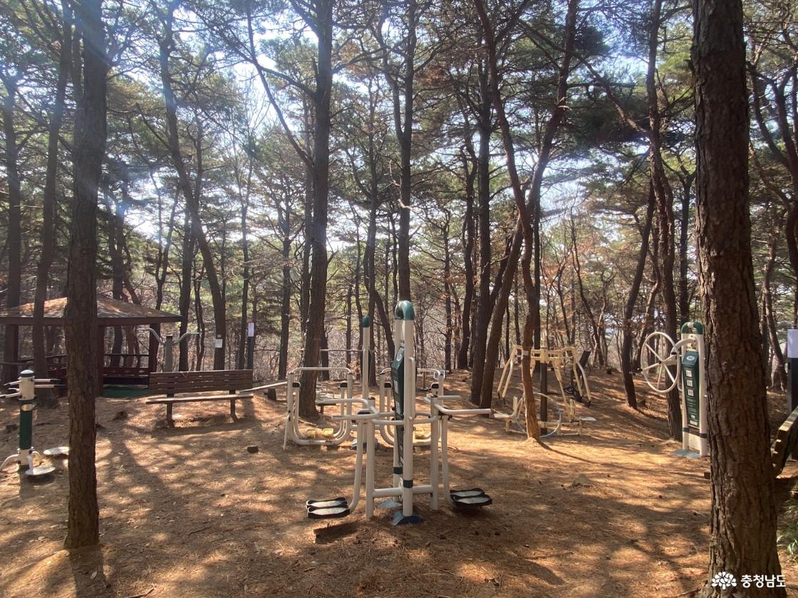 산에 있는 운동기구