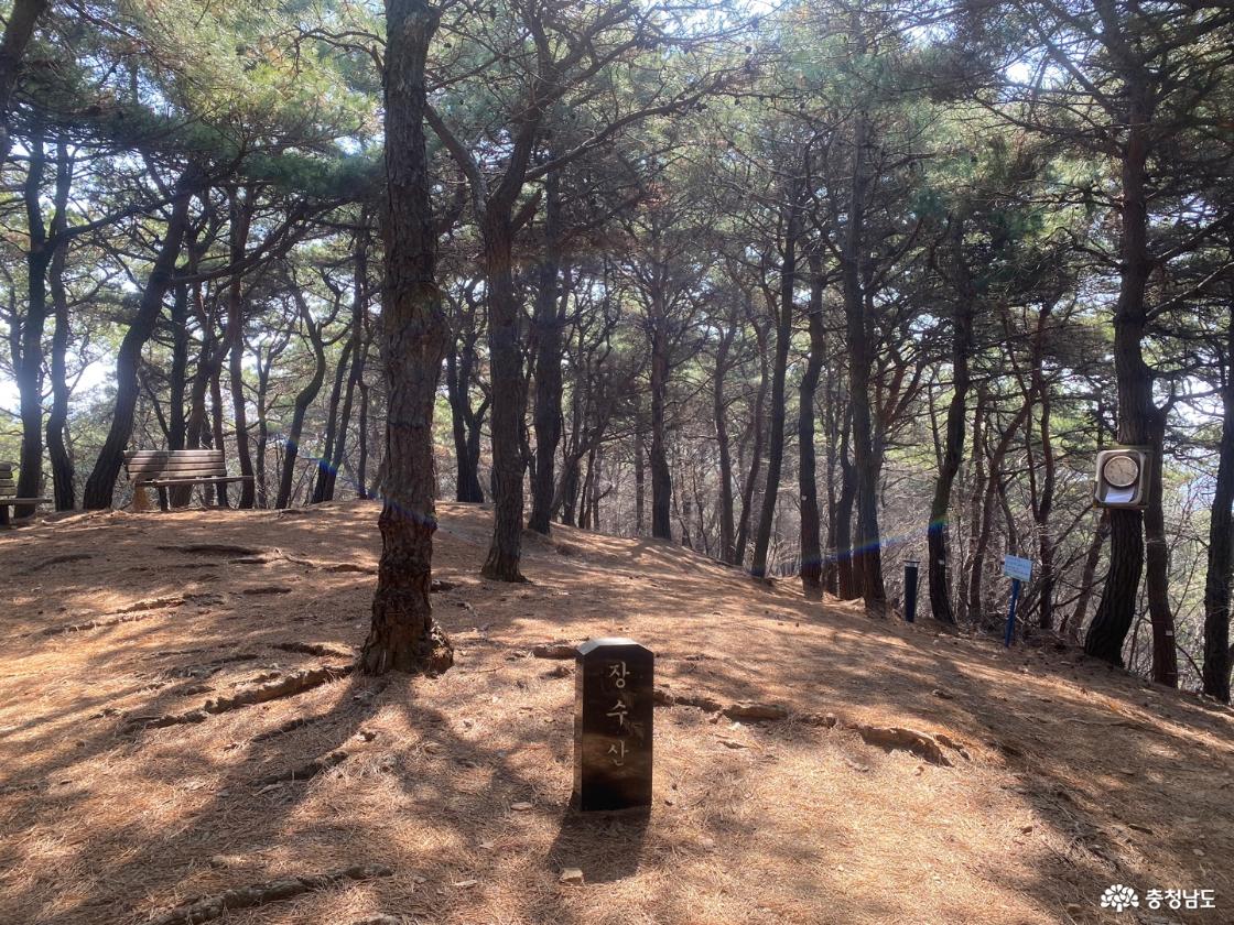 장수산 정상