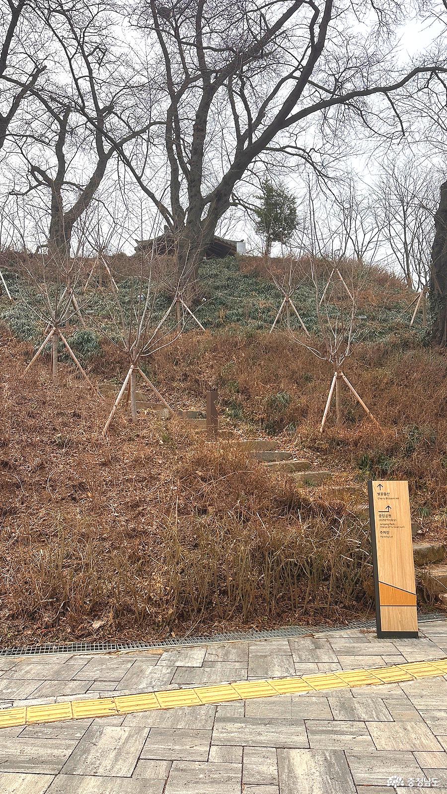 산책