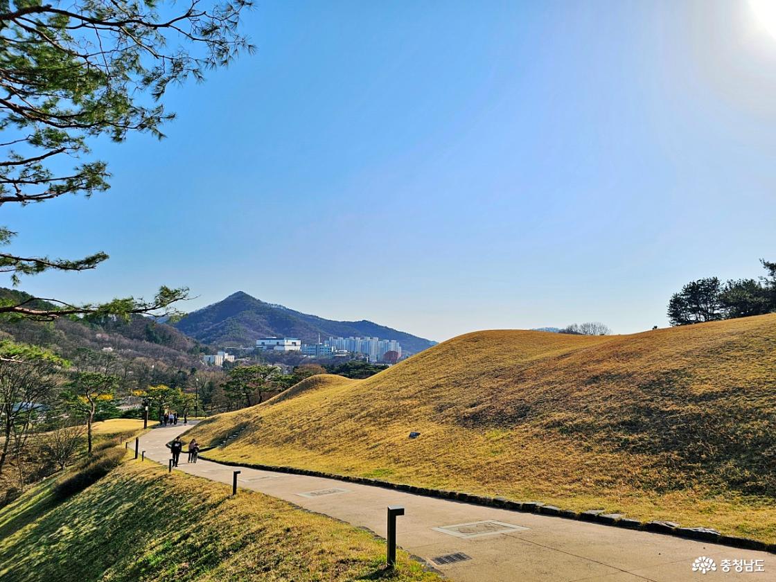 산책로