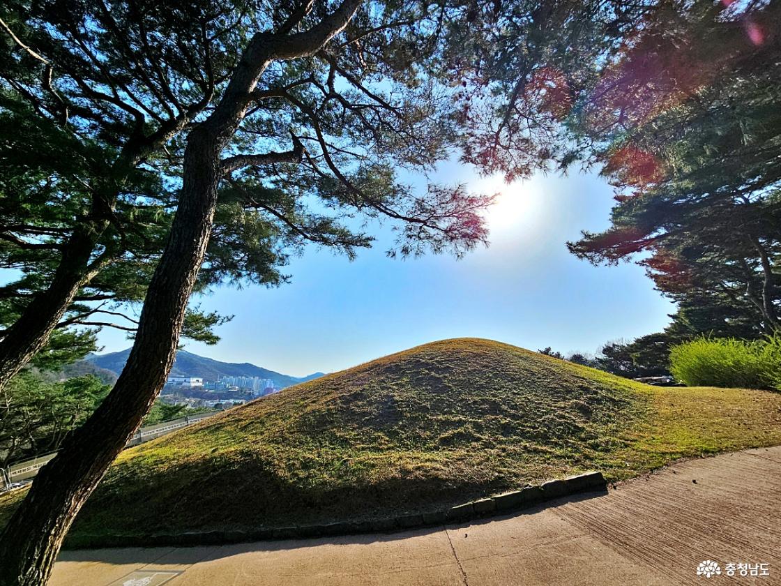 고분