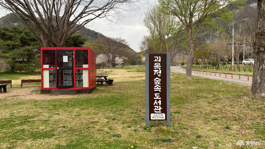 괴목정 14