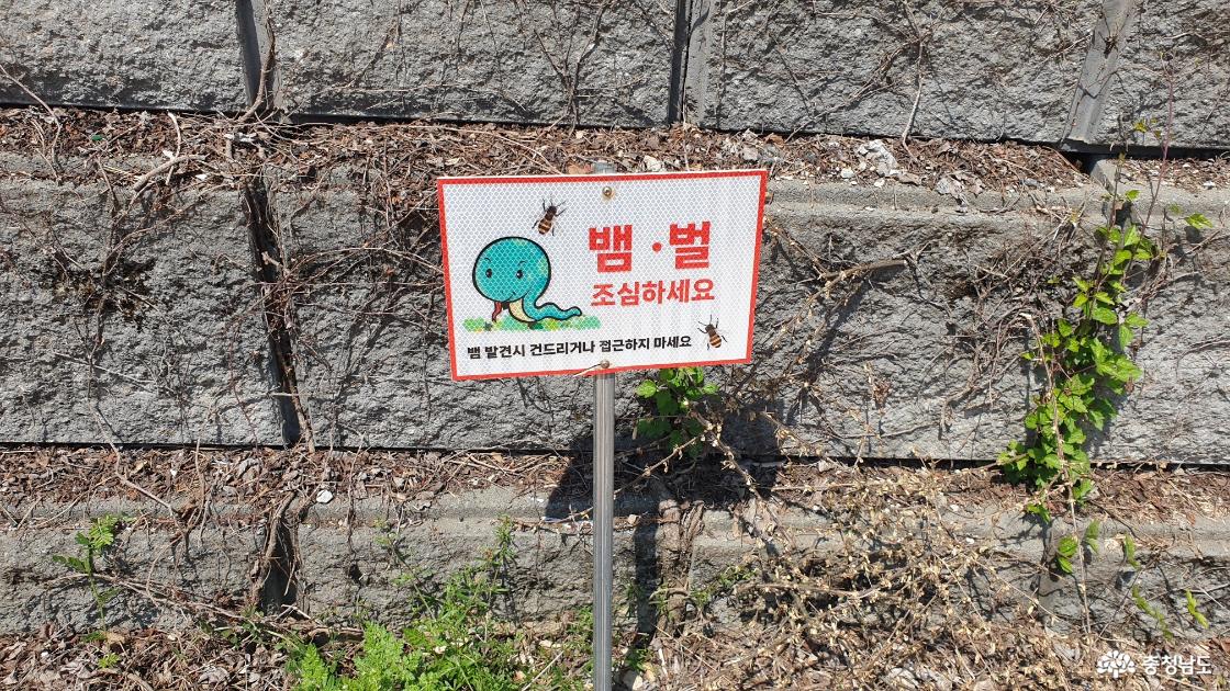 뱀,벌 조심 표지판
