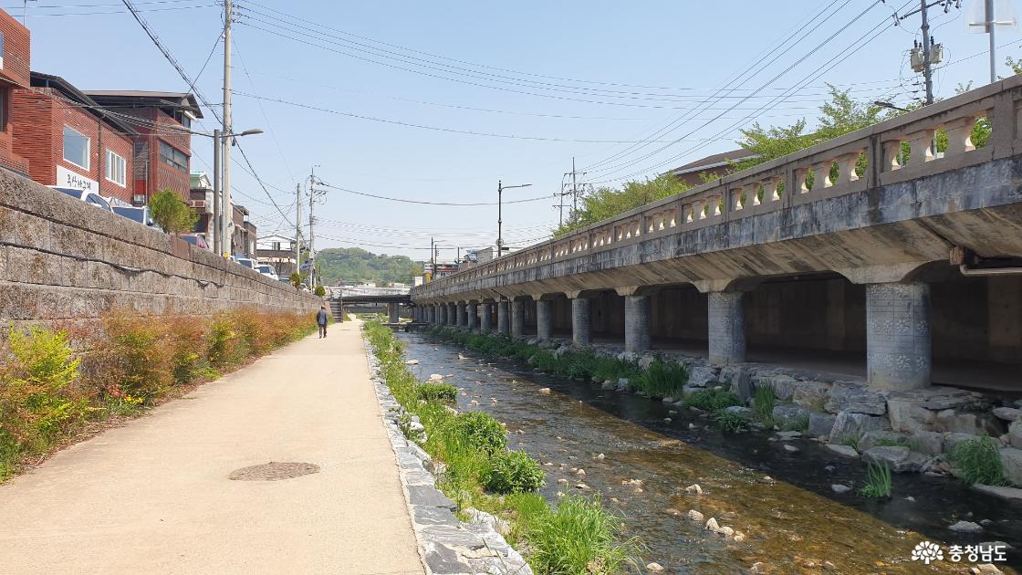 공주시청 부근 제민천