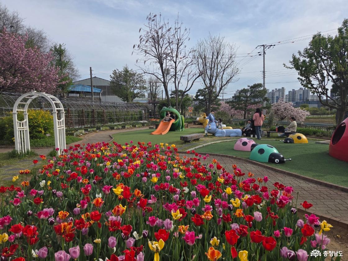 어린이 놀이동산