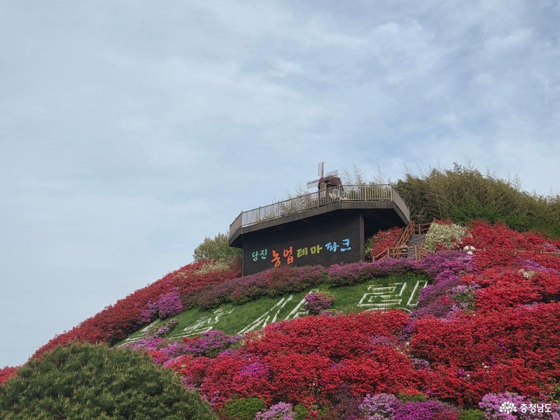전망대