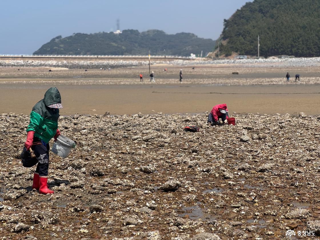 꽃지해안공원 어린이 물놀이 수경시설 앞 어린이