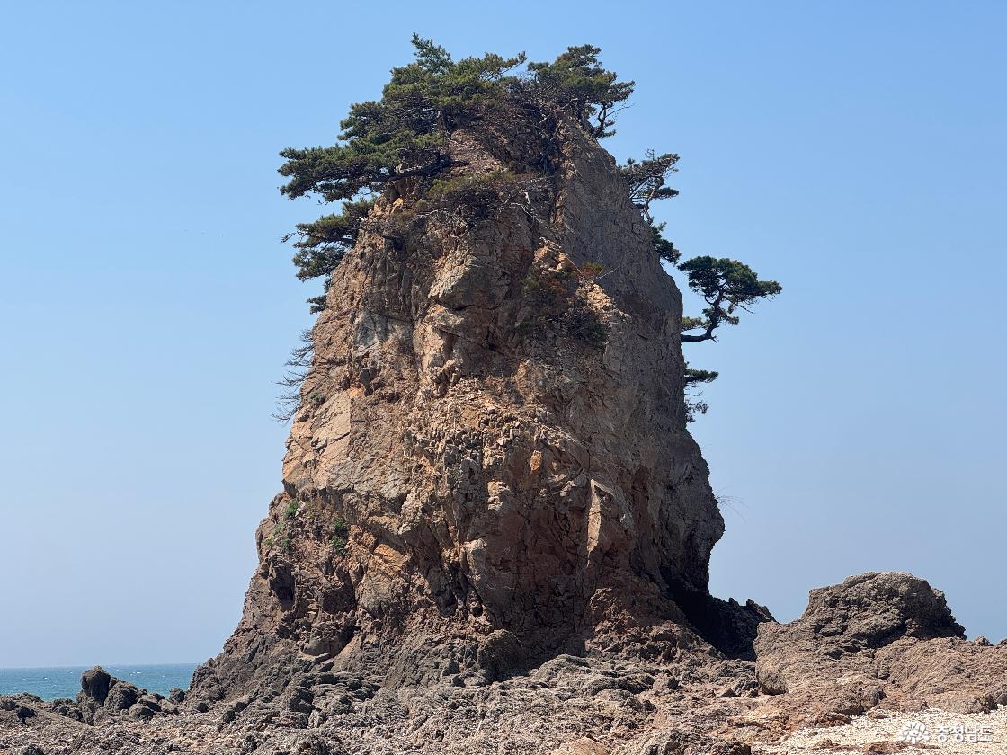 할아비 바위