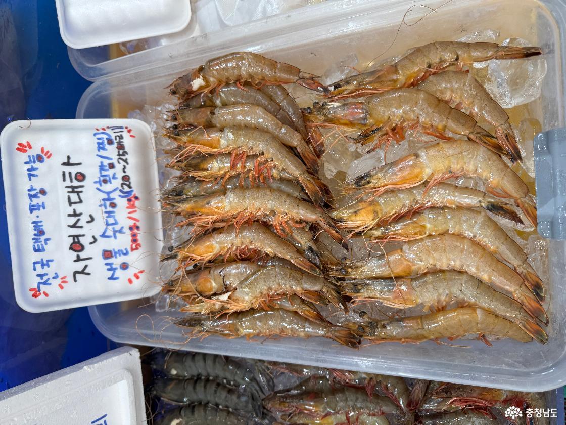 안면도수산시장에서 판매하고 있는 자연산 대하