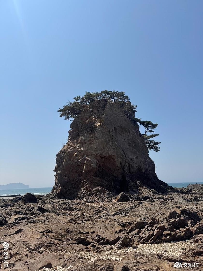 할아비 바위