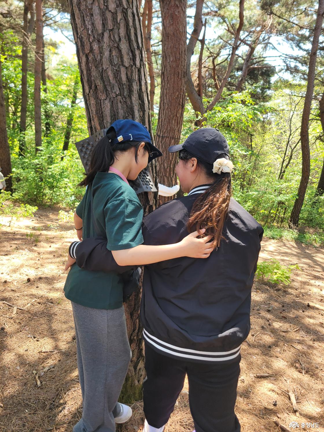 내포문화숲길