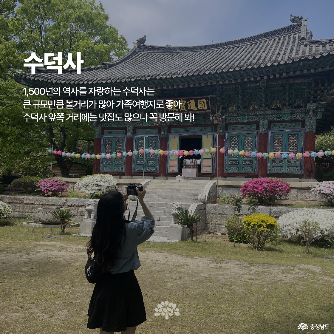 수덕사의 고풍스러운 목조건물 앞에서 여성이 사진을 촬영하고 있습니다. 건물은 다채로운 색감의 단청과 전통 구조가 인상적이며, 앞마당에는 화단과 전통 장식이 어우러져 있습니다. 경내에는 형형색색의 연등이 줄지어 매달려 있습니다.