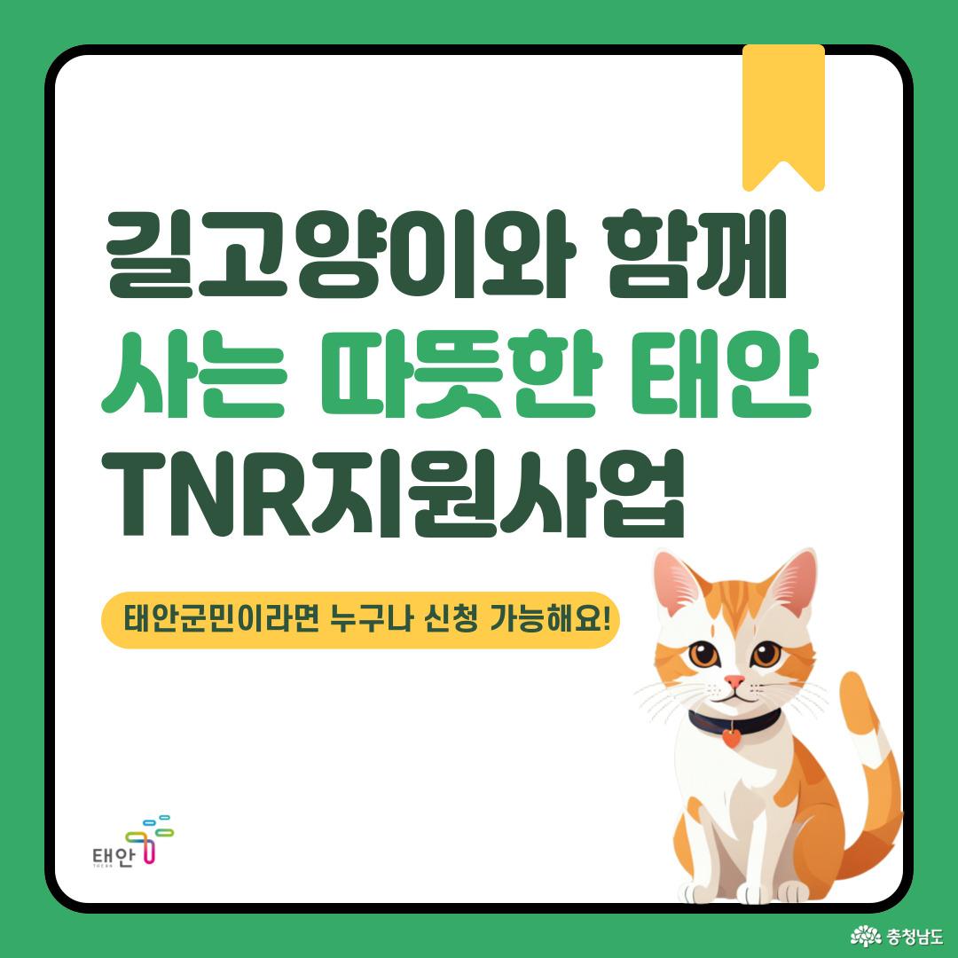 태안군 TNR 지원사업, 지금부터 알려드릴게요.