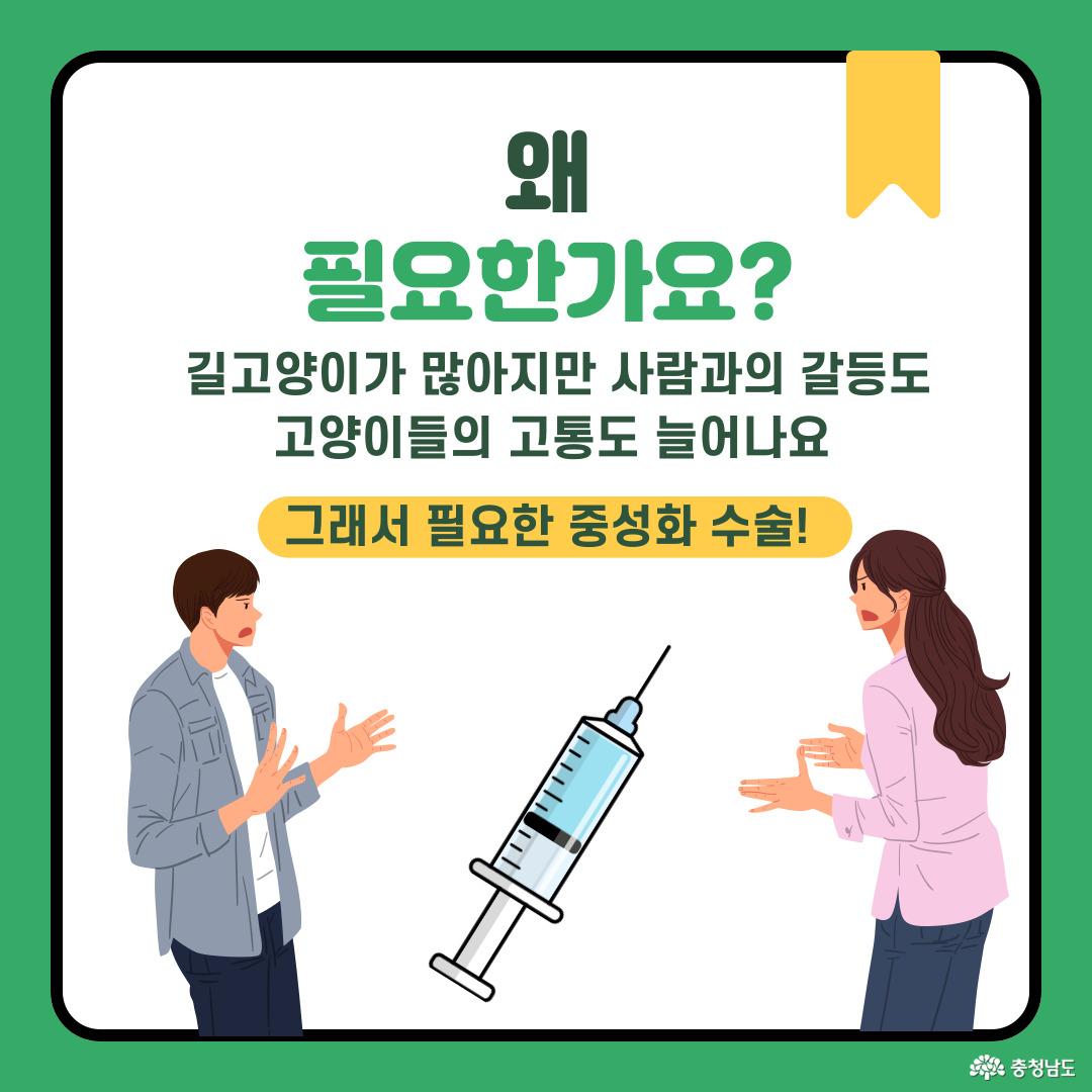 TNR은 공존을 위한 따뜻한 실천이에요.