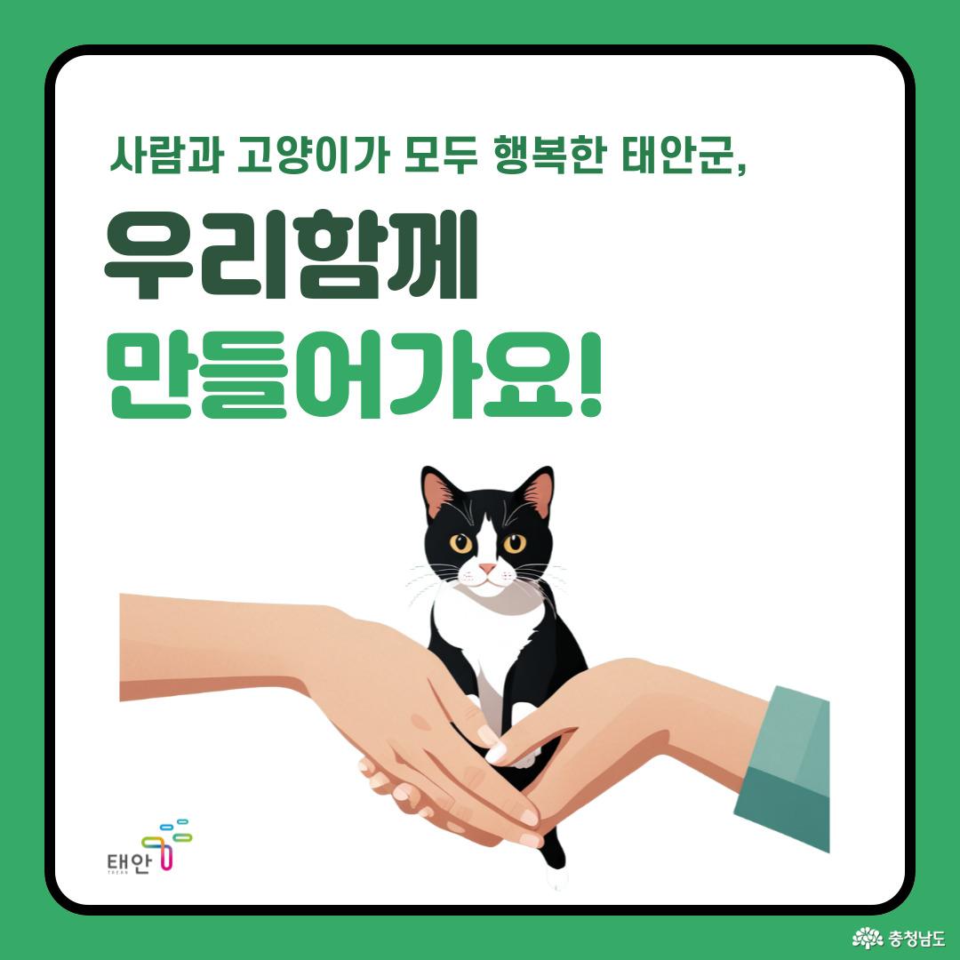 사람과 고양이가 공존하는 태안, 함께 만들어가요.