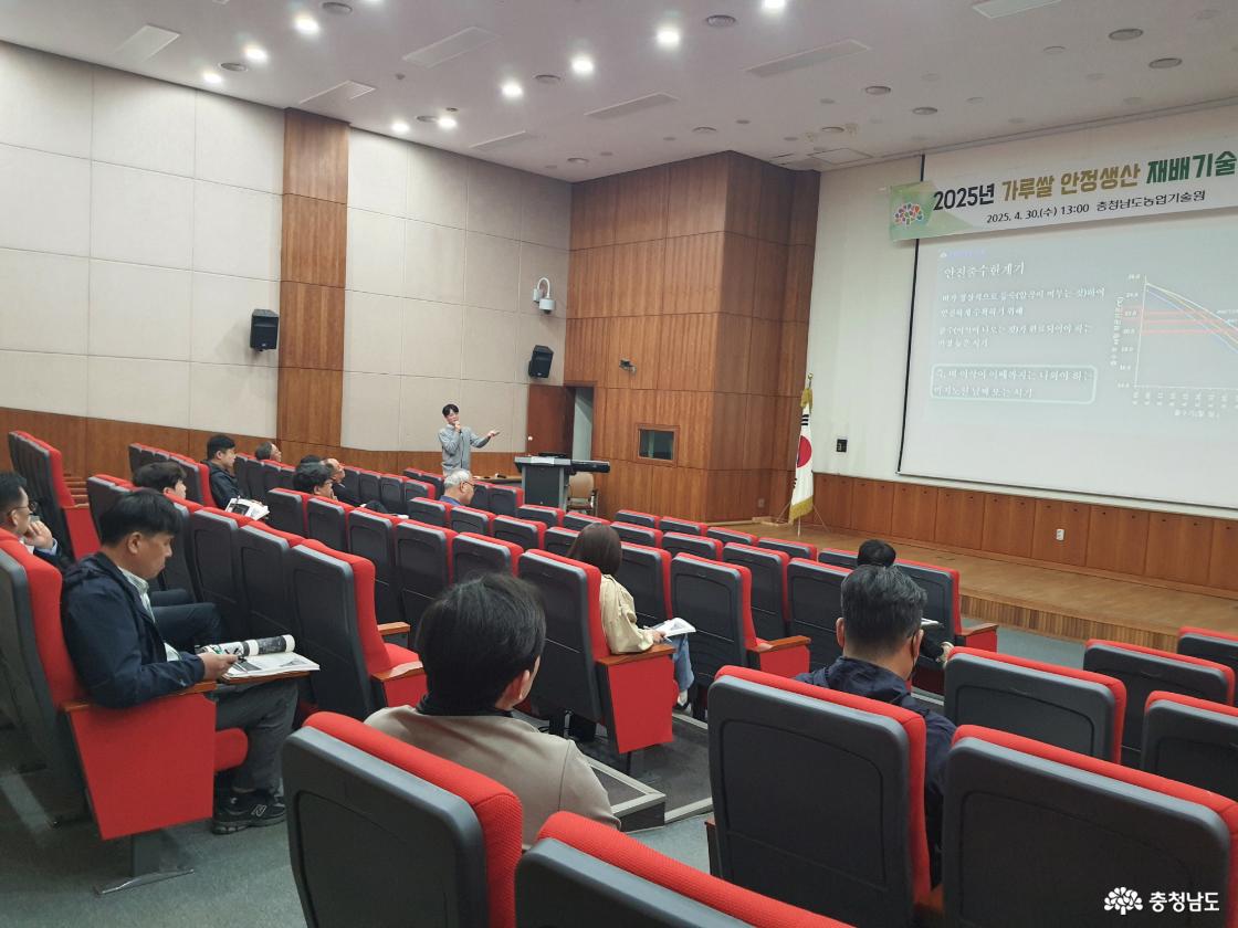 가루쌀 안정생산 재배기술 교육