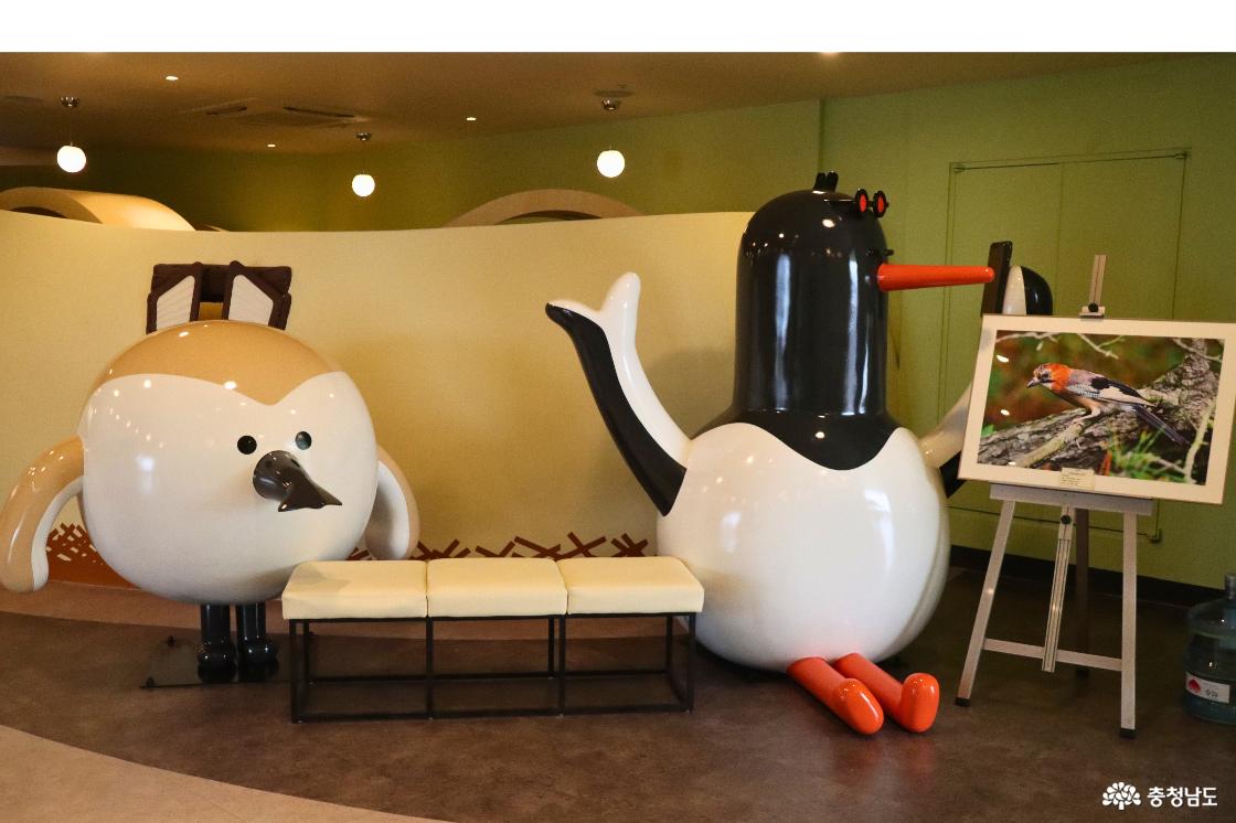 서천 조류생태전시관 내부