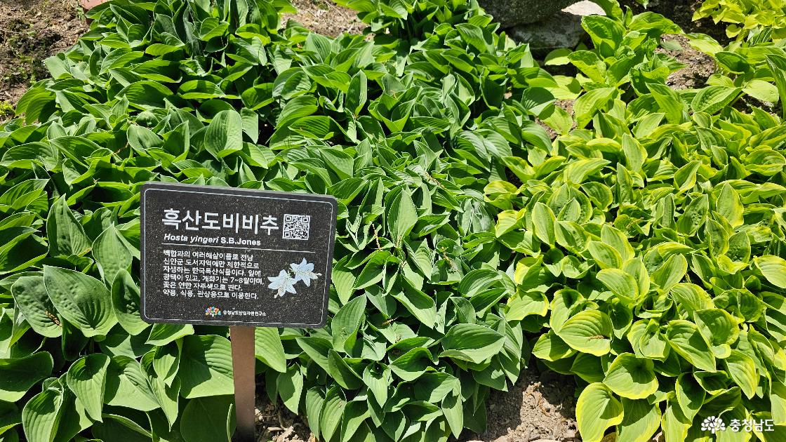 금강수목원을 방문함