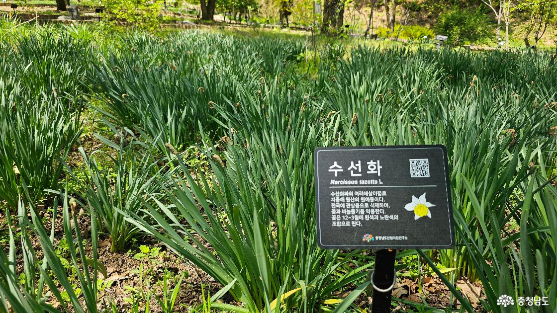 금강 수목원을 방문함