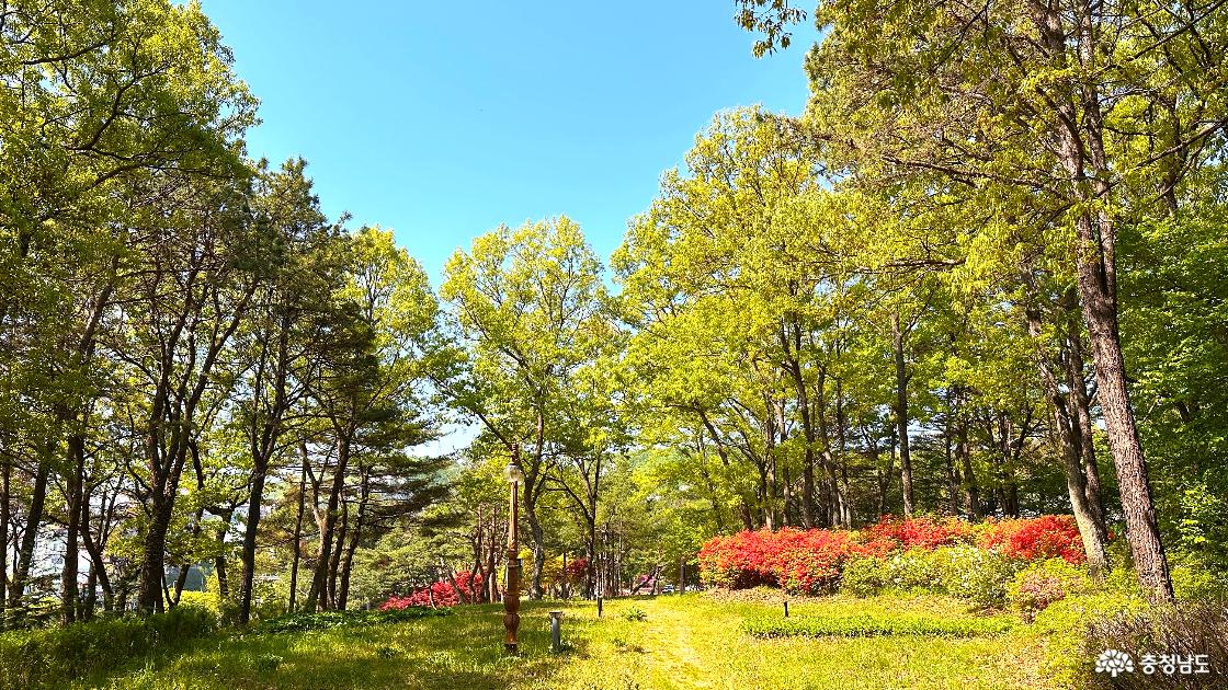 공원