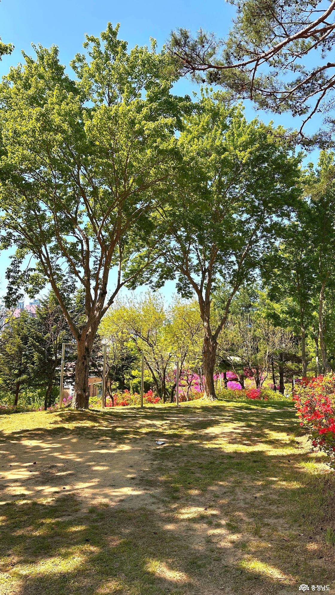산책로