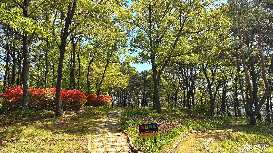 산책로2