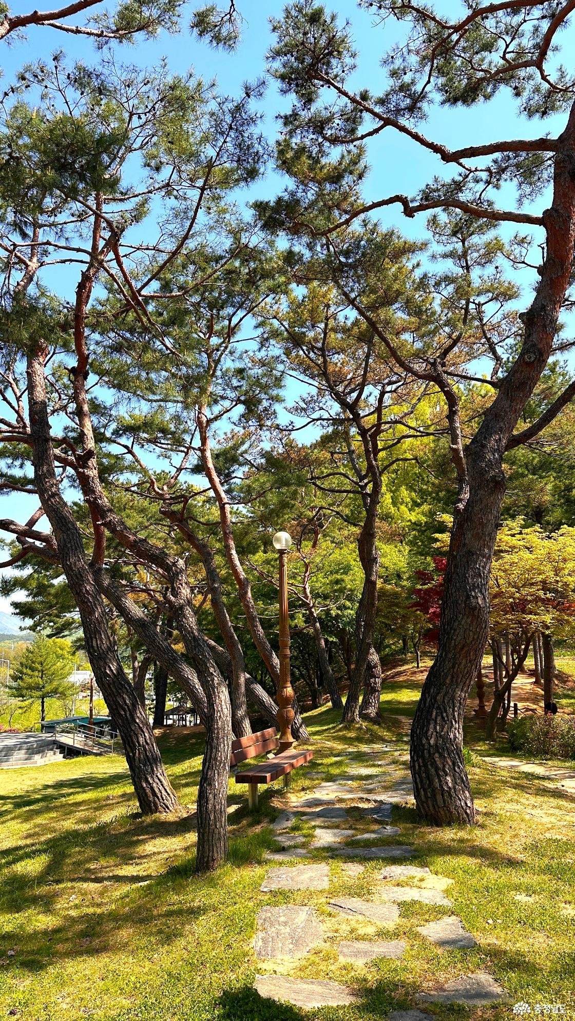 산책로3